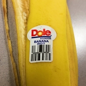 Co