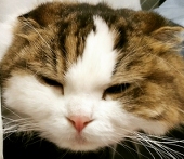 暁(とおる)