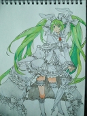 暗红のrose