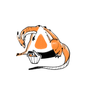P紙：）
