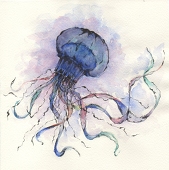 medusoid