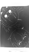 N.AOBA