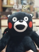 教煮