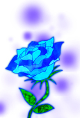 海薔薇