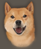 ぱつこ