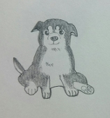 さー