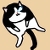catzz