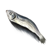 にぼし