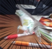 楓