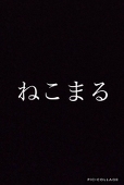 猫丸
