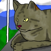 ハル