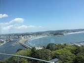 梅みんつ