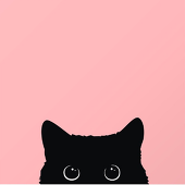 Natt-Katt