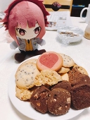 ポンチョ