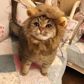 NINININIO