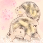 かめころ