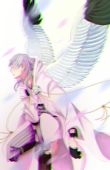 蜘蛛