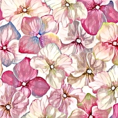 花嵐/花戻