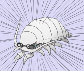 みちを