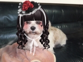 生萌
