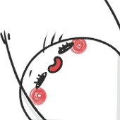 Pyonster