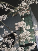 玄