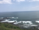 サカキ