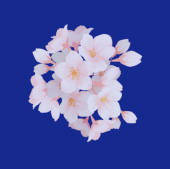 天