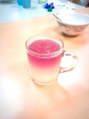 fairylam