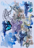 🦋