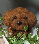 もえっち