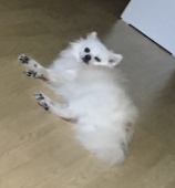 みね
