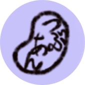 つぶあん