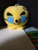ソルティー