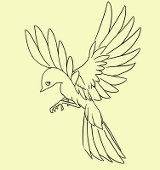鳥ッキー