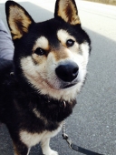 ずずろん