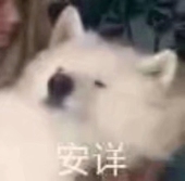 尘狼心