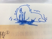 蝈蝈