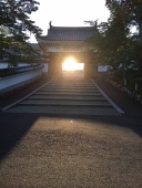 syachi