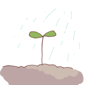 🌱