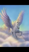 Pegasus@クソ絵