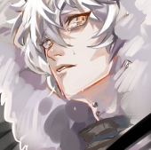 RN齿