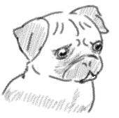 cko