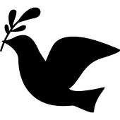 鳩