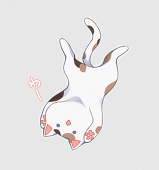 サワラ