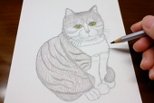 絵描き猫