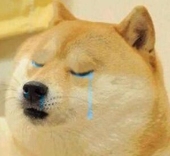 まめこ