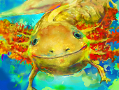 upa