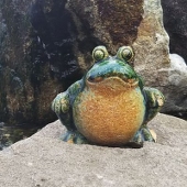 十一