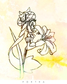 辺境